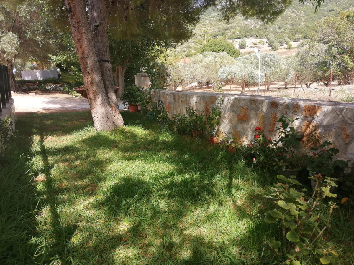 Reginas Studios Αθέρας Εξωτερικό φωτογραφία