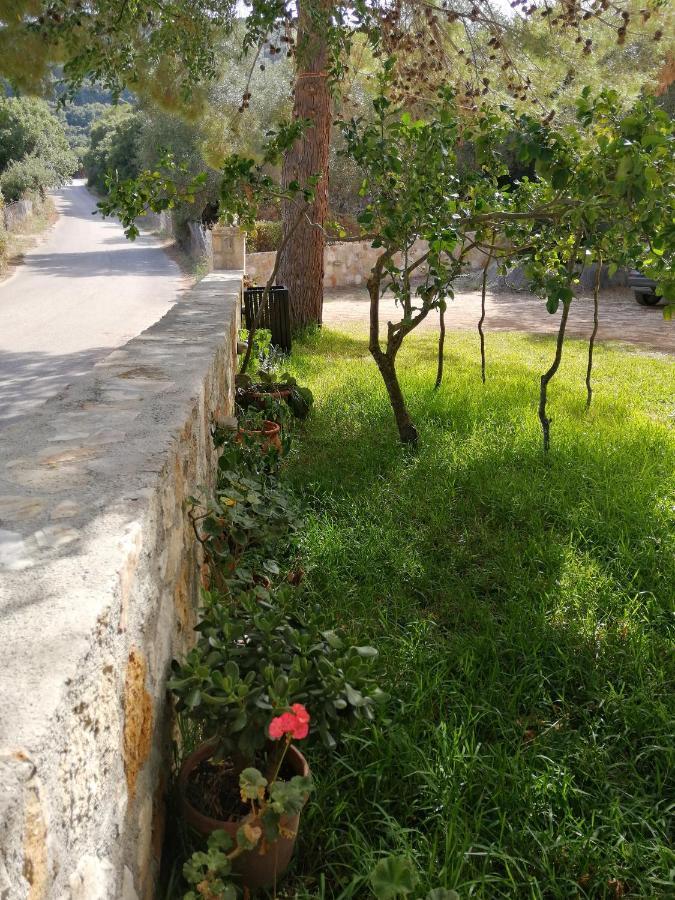 Reginas Studios Αθέρας Εξωτερικό φωτογραφία